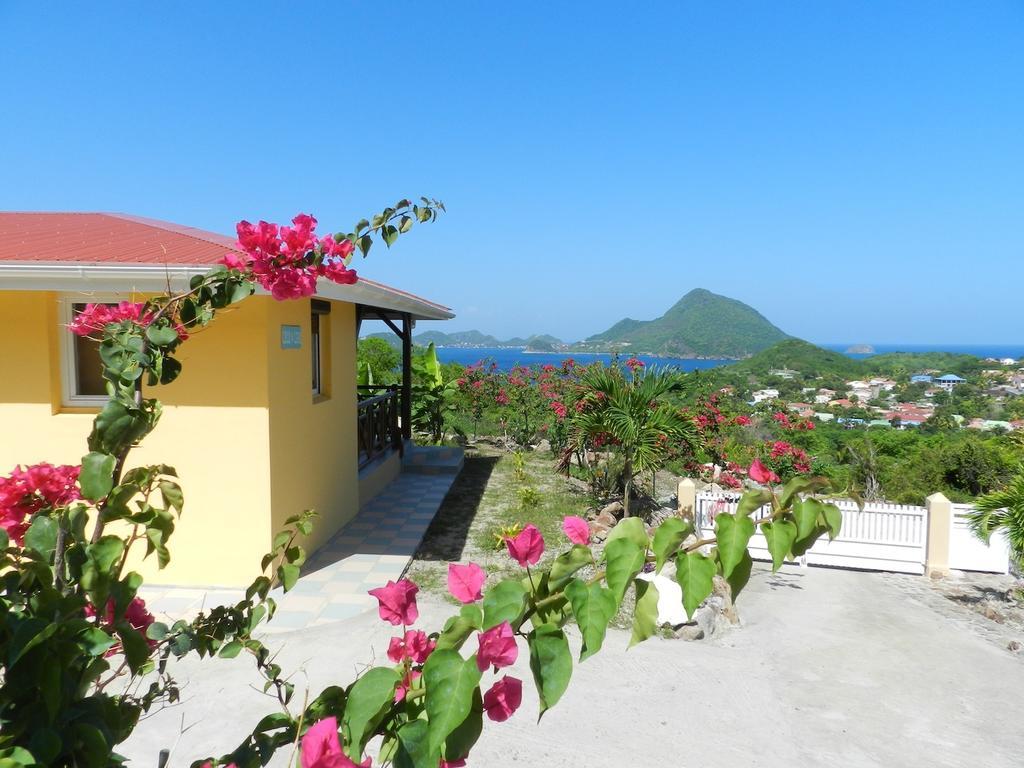Apartament Coco D'Iles Terre-de-Bas Pokój zdjęcie