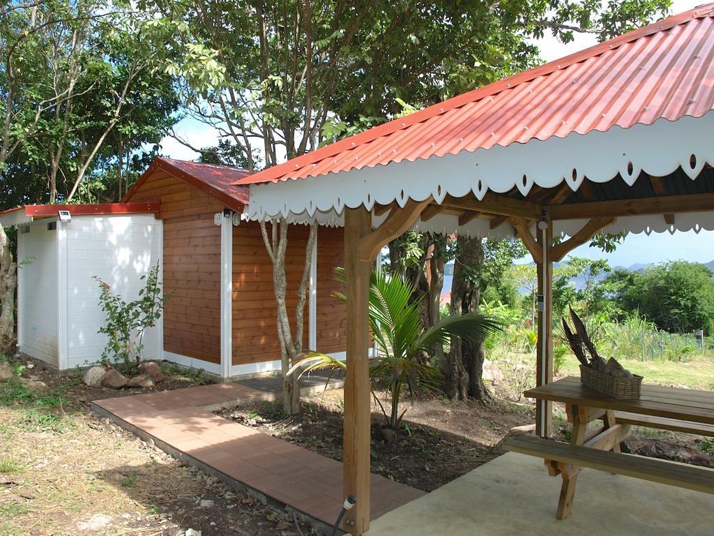 Apartament Coco D'Iles Terre-de-Bas Zewnętrze zdjęcie